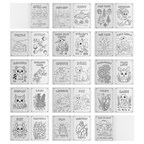 Plants and Animals of Big Bear Lake - Coloring Book (Ages 2+) - Wears The MountainBooksteelaunch