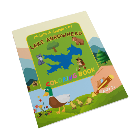 Plants and Animals of Lake Arrowhead - Coloring Book (Ages 2+) - Wears The MountainBooksteelaunch