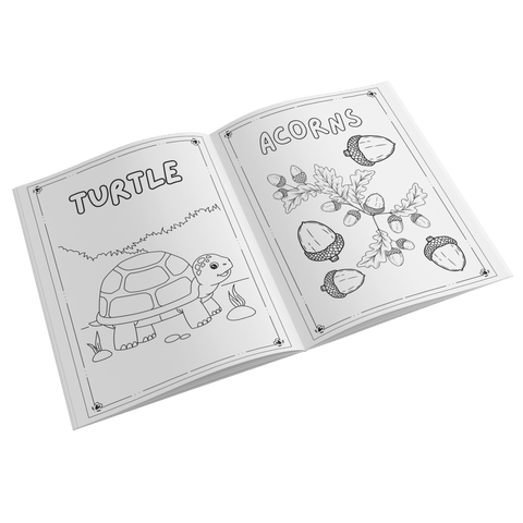 Plants and Animals of Lake Arrowhead - Coloring Book (Ages 2+) - Wears The MountainBooksteelaunch