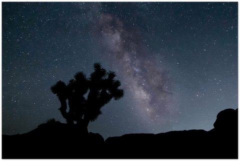 Joshua Tree Milky Way - Aluminum Metallic Print - Wears The MountainWall ArtGelato